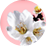 ��ȥ���ɱ� �Ǯ��